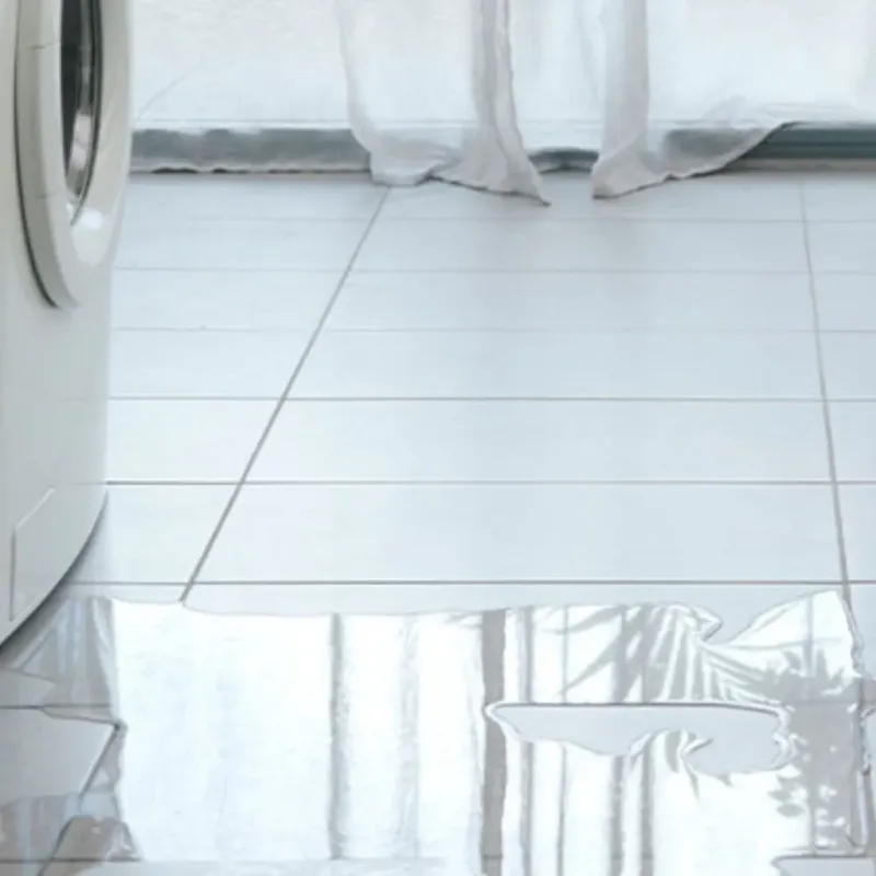 Appliance Leak Cleanup in Timpson, TX