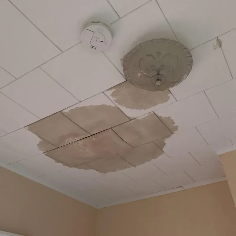 Ceiling Water Damage Repair in Timpson, TX