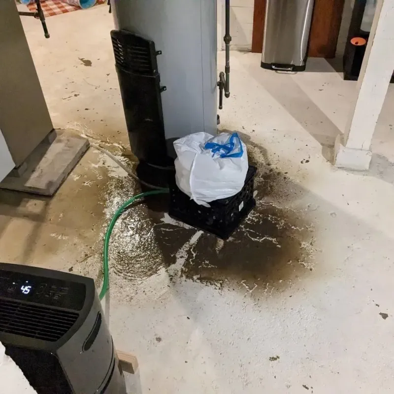 Sewage Backup Cleanup Service in Timpson, TX